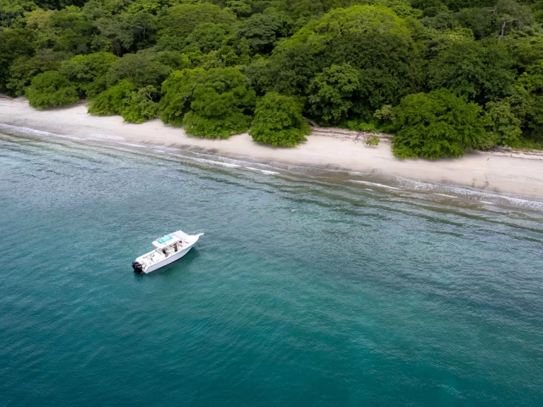 Pronájem Motorová loď grady-white s licencí