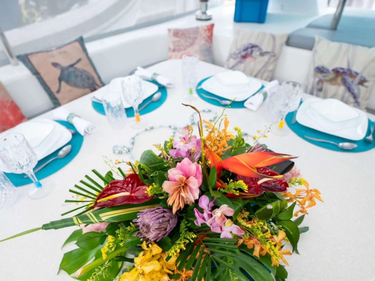 Voyage TURQUOISE TURTLE jednotlivci a charterové společnosti v Britské Panenské ostrovy