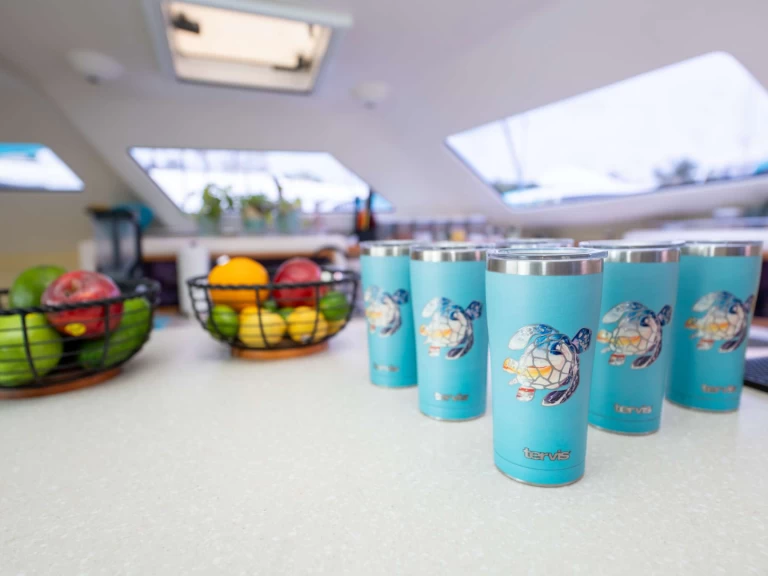 Pronájem jachty v Britské Panenské ostrovy -Voyage TURQUOISE TURTLE na Samboatu