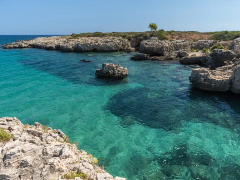 Pronájem Motorová loď Megamar s licencí