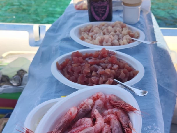 Pronájem Polotuhá loď Northstar s licencí