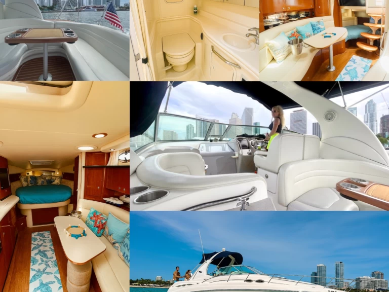 Sea Ray Sundancer 37 jednotlivci a charterové společnosti v Miami