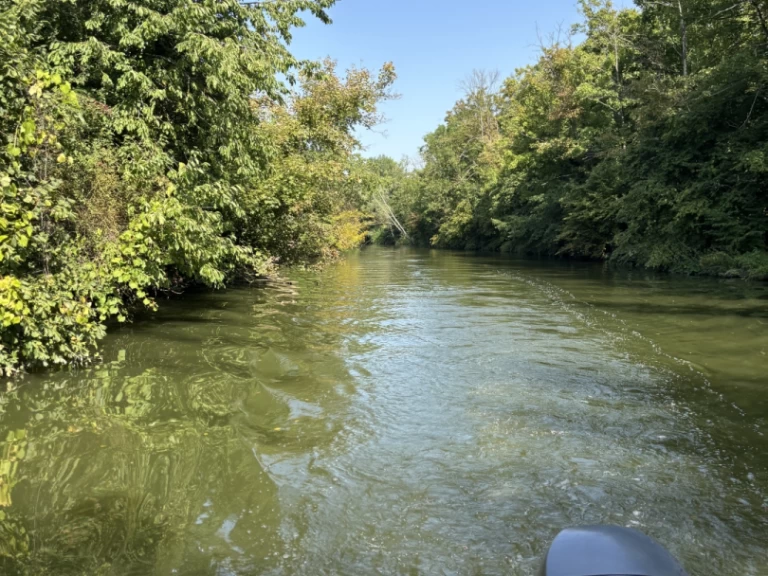 Pronájem Motorová loď Jeanneau s licencí