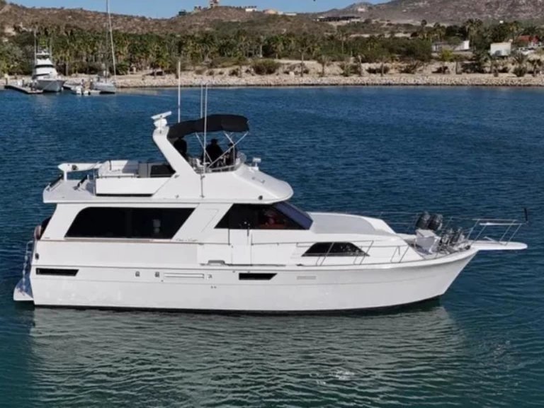 Pronajmout si Chris Craft Constellation 55 v San José del Cabo