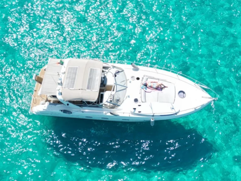 Fiart Fiart 40 Genius jednotlivci a charterové společnosti v Palermo