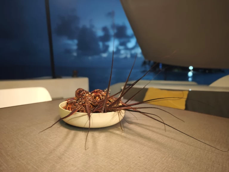 Pronájem Katamarán Oyacht s licencí