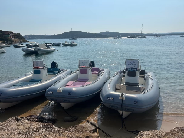 Pronájem Polotuhá loď Bwa s licencí