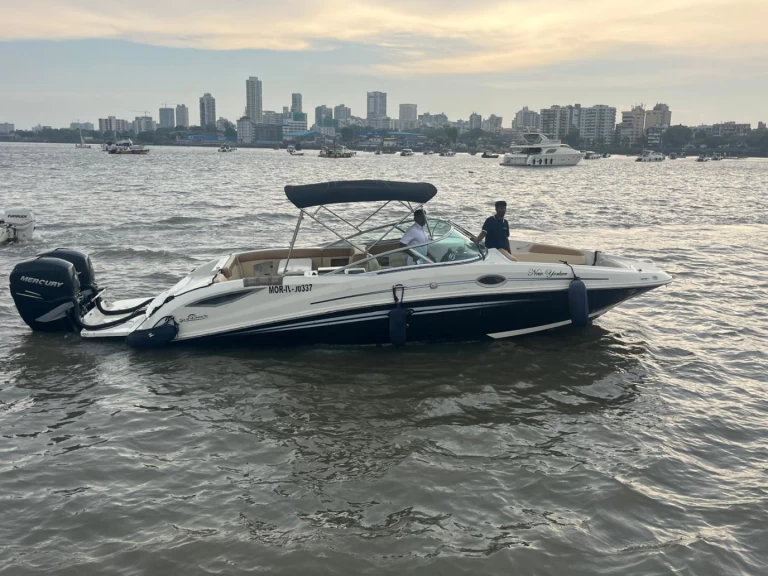 Sea Ray Sea Ray SDX 290 jednotlivci a charterové společnosti v Mumbai