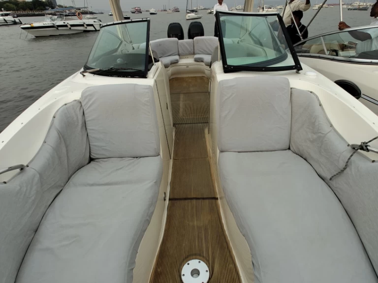 Sea Ray Sea Ray SLX 300 jednotlivci a charterové společnosti v Mumbai