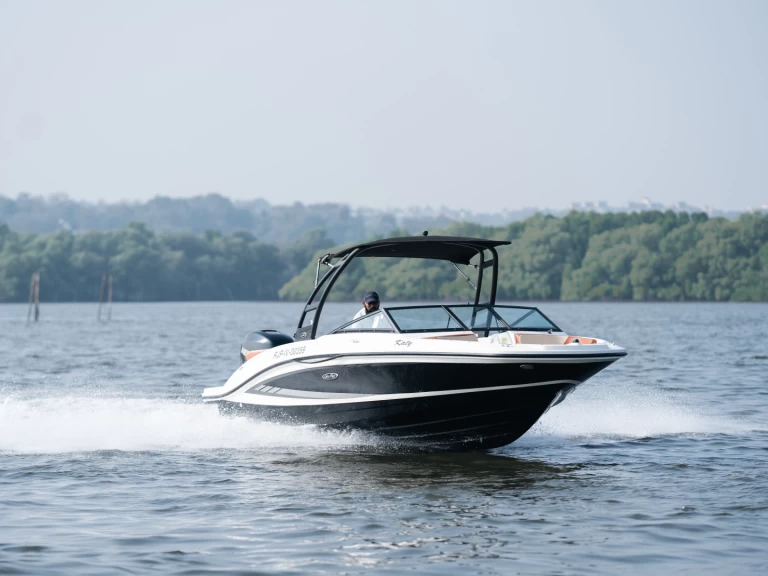 Sea Ray Sea Ray SPX 210 jednotlivci a charterové společnosti v Panaji
