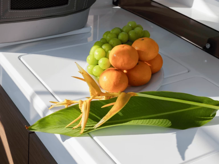 Pronájem Motorová loď Jeanneau s licencí