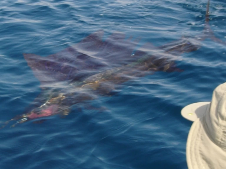 Pronájem jachty v Saint-Gilles les Bains -Ocqueteau Ostrea 700 T-Top na Samboatu