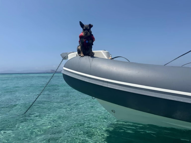 Bwa 24 Sporty RIB jednotlivci a charterové společnosti v Ibiza Town