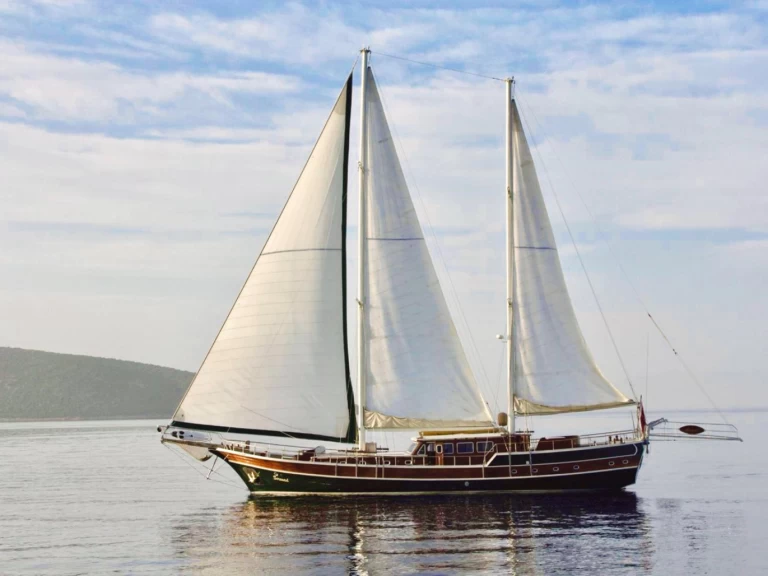 Pronajmout si Custom Made Serenad v Bodrum