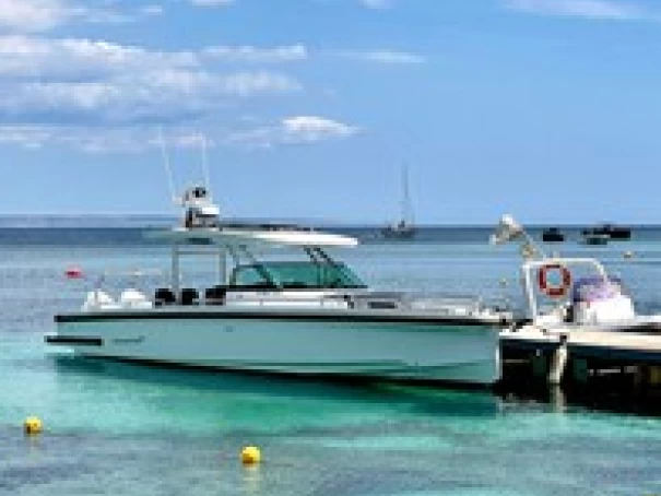 Pronajmout Motorová loď se skipperem či ne Axopar v El Toro