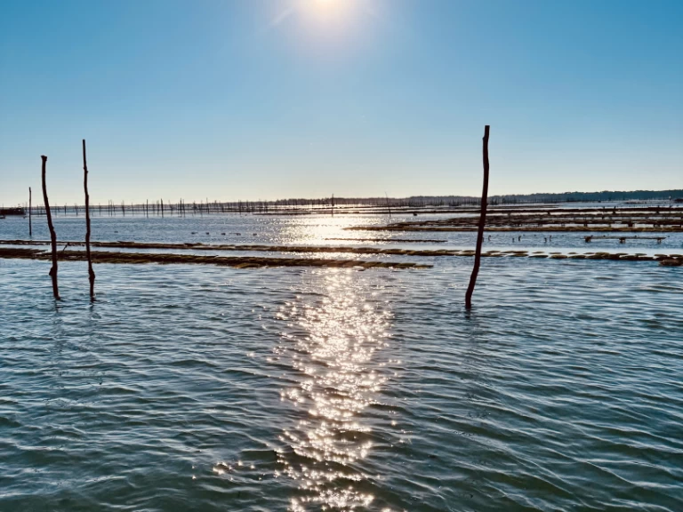Pronájem jachty v Francie -Beacher Beacher 840 na Samboatu