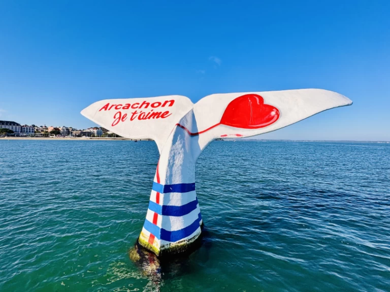 Pronajmout si Beacher Beacher 840 v Francie