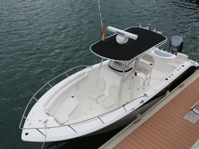 Pronájem Motorová loď SEAFOX s licencí