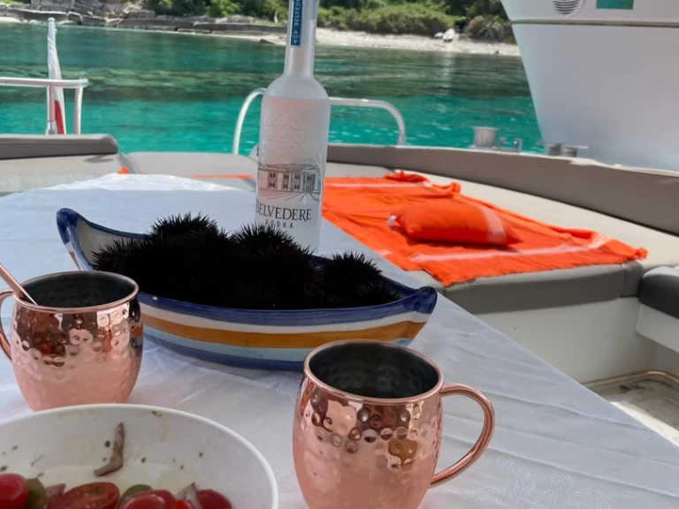 Pronájem Jachta  s licencí