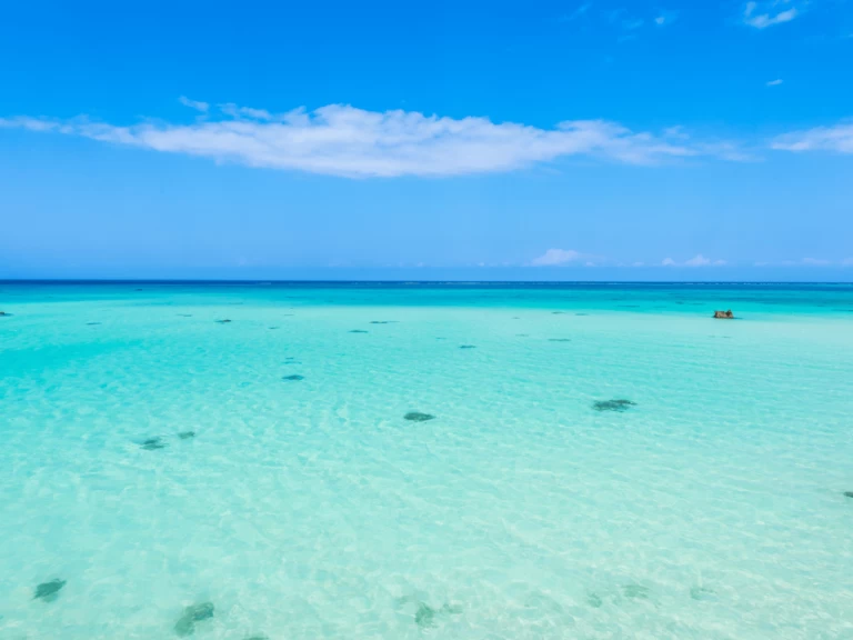 Pronajmout Katamarán se skipperem či ne Custom Made v Kendwa