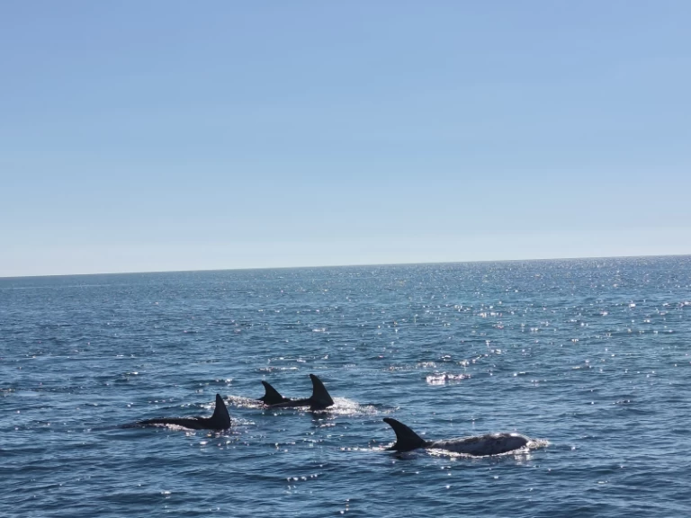 Pronajmout si Fountaine Pajot FP 44 v Portimão