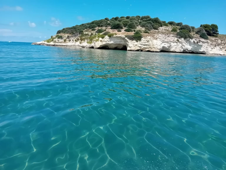 Pronájem Motorová loď Idea Marine s licencí