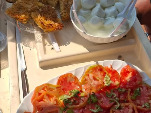 Pronájem Motorová loď v Sorrento -Tirrenia Viveur 28