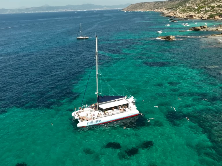 Pronajmout si Drassanes Dalmau one of a kind v Playa de Palma