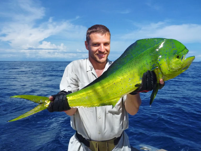 Pronájem Jachta v Punta Cana -Custom Made Custom made