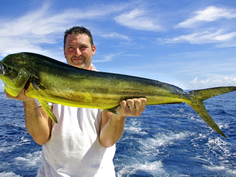 Pronajmout Jachta se skipperem či ne Custom Made v Punta Cana