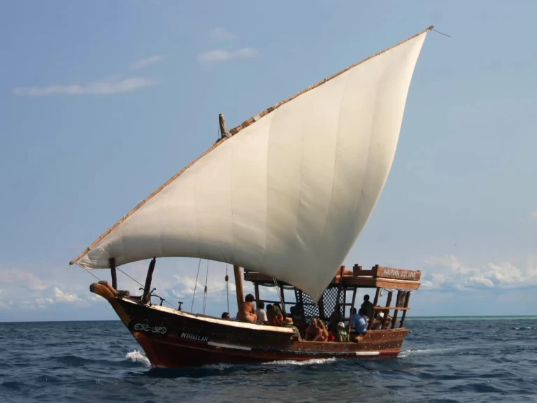 Custom 2018 jednotlivci a charterové společnosti v Zanzibar