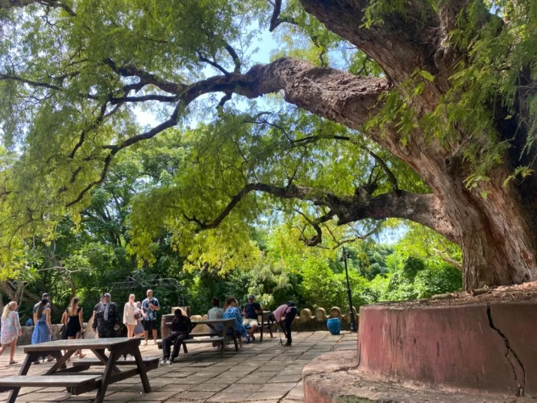 Pronájem lodi Custom Custom v Zanzibar na Samboatu