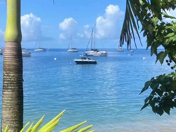 Pronájem Motorová loď v Deshaies -Pacific Craft Pacific Craft 630