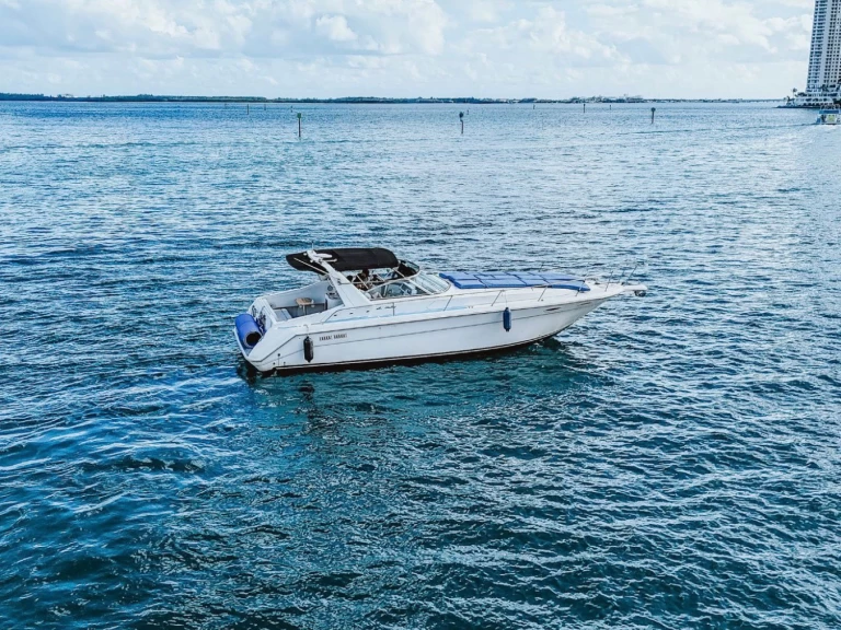 Pronájem Motorová loď Sea Ray s licencí