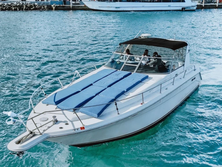 Pronájem jachty v Miami -Sea Ray Sea Ray 370 Sundancer na Samboatu