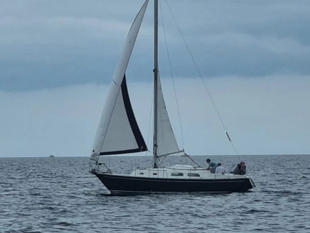 Pronájem Plachetnice v Port de Sainte-Marine -Contest contest 29