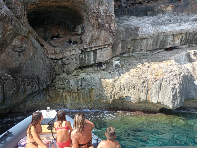 Pronájem jachty v Cala Gonone -Nuova Jolly King 750 na Samboatu