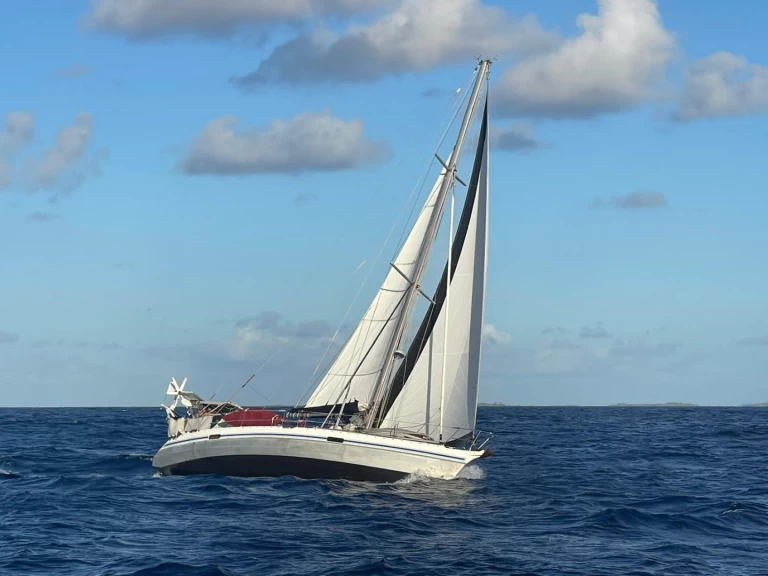 Pronajmout si Alubat Ovni 43 v La Paz