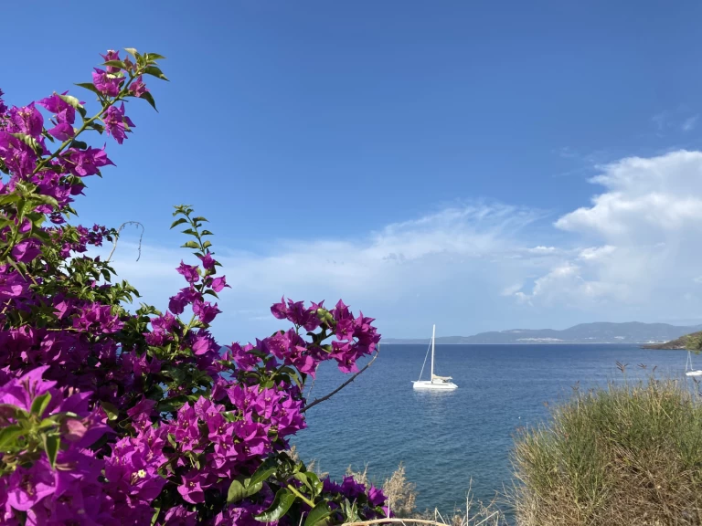 Pronájem jachty v Pianottoli-Caldarello -ALIBI ALIBI 54 na Samboatu