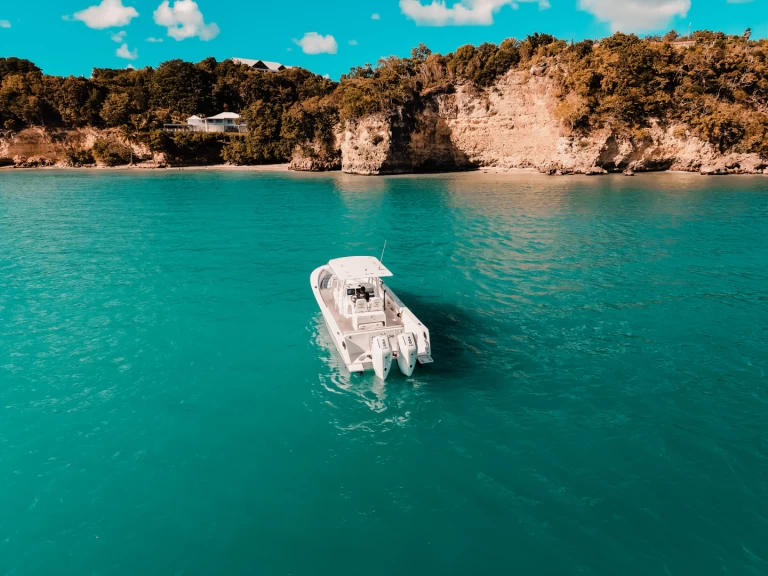 Pronájem Motorová loď Forboat s licencí