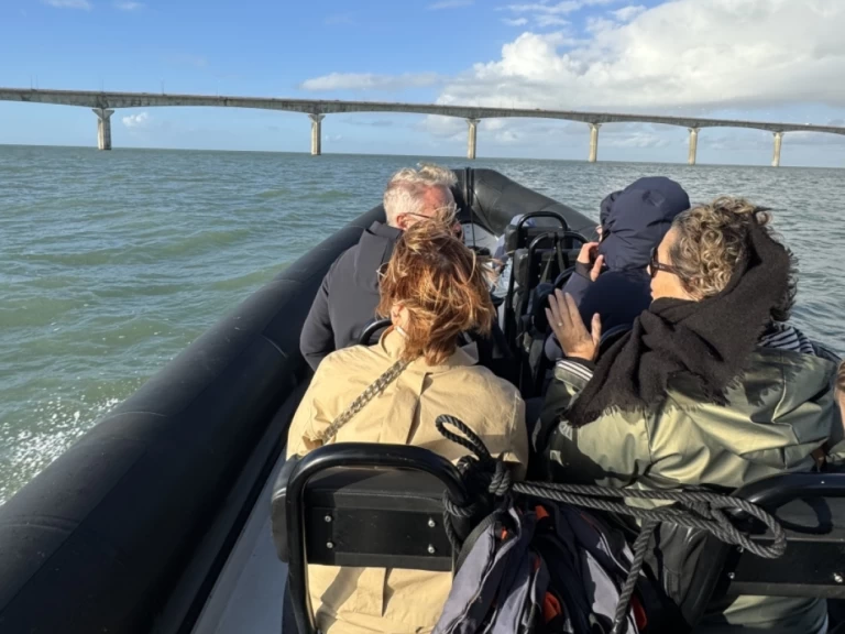 Pronájem lodi Narwhal sp900 v La Rochelle na Samboatu