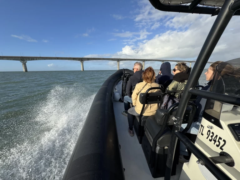 Pronájem Polotuhá loď Narwhal s licencí