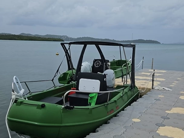 Pronajmout Motorová loď se skipperem či ne Whaly v Le François