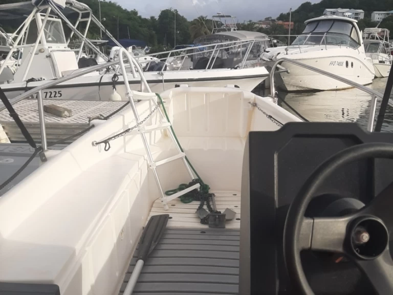 Pronajmout Motorová loď se skipperem či ne Whaly v Le François