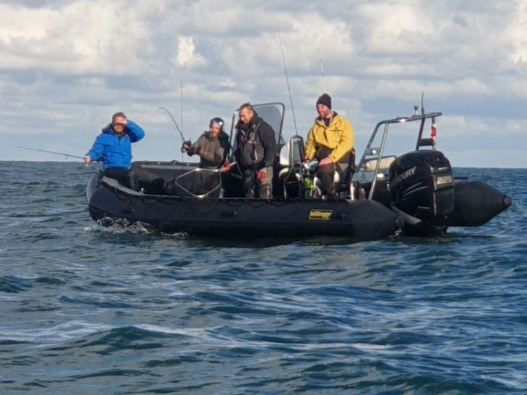 Pronájem Polotuhá loď Sillinger s licencí