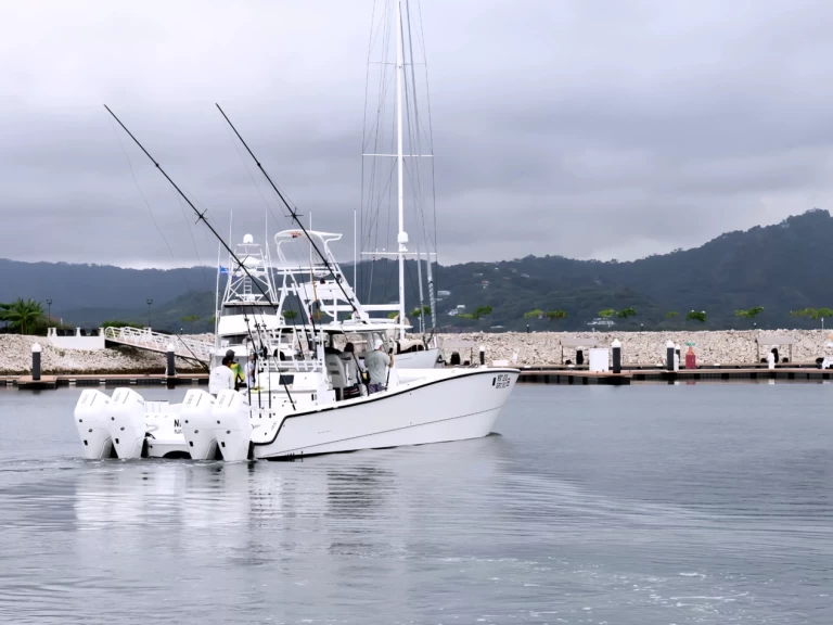 Pronajmout si Freeman Freeman 47FT v Flamingo