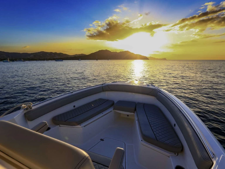 Pronájem Motorová loď Pursuit s licencí