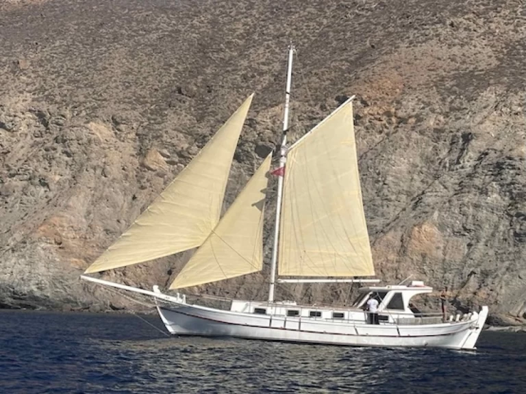 Pronájem Plachetnice Custom s licencí