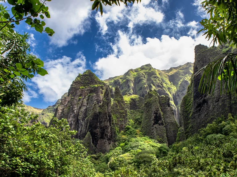 Pronájem lodi Alubat Ovni 43 v La Paz na Samboatu