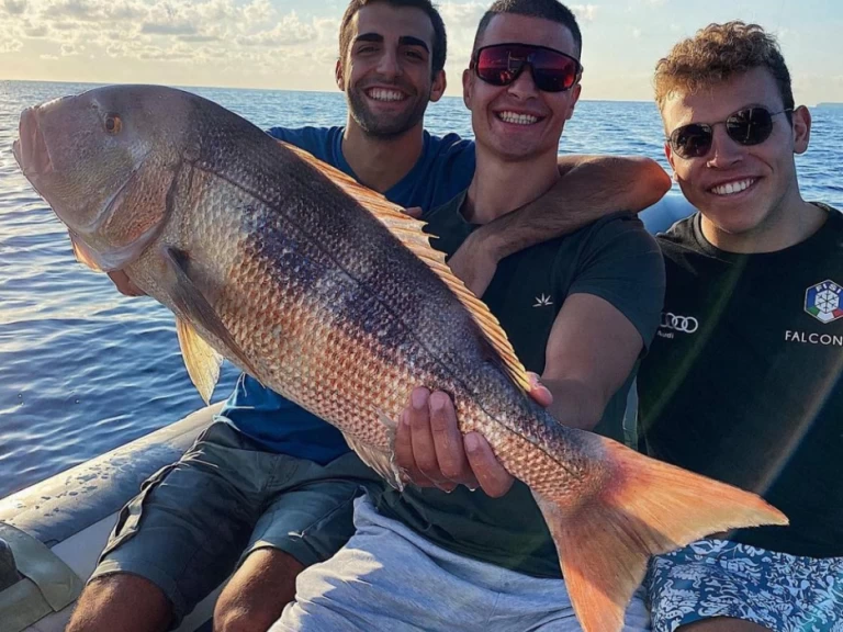 Pronájem Motorová loď Saver 33 s licencí